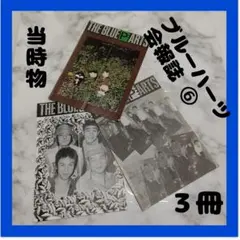 2025年最新】ブルーハーツ 会報の人気アイテム - メルカリ