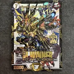 ジョットガンジョラゴン　winner