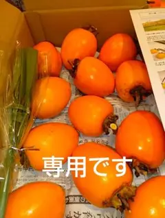 シカタ様専用の干し柿作りのための渋柿 LLサイズ10kg34個 作り方説明書付き