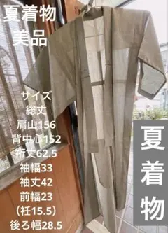 極美品肩山シミ有サマーウールのような単衣　春夏着物　紬に見える灰色グレーベージュのサムネイル
