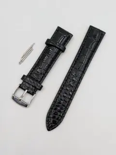 Item thumbnail for item 4e5a9111-1412-4e01-b6bf-2e819333f65e