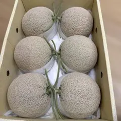 高知 温室メロン 5玉入り11.5キロ箱込み11.5キロ1 - メルカリ