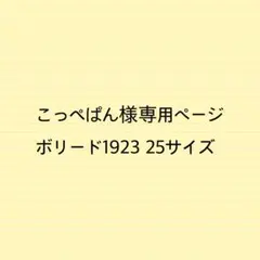 こっぺぱん様専用ページボリード1923 25サイズバッグインバッグ