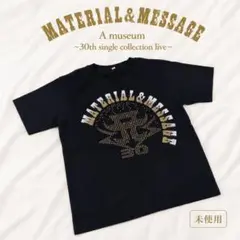 未使用　浜崎あゆみ ツアーTシャツ A museum ラメロゴ ブラック 半袖のサムネイル
