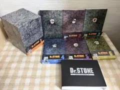 Dr.STONE 第3期DVD全巻購入特典 アニメイト 書き下ろしミラー - メルカリ