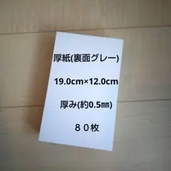 厚紙(裏面グレー) 19.0cm×12.0cm ８０枚