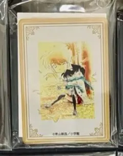 名探偵コナン展 ランダム アクリルマグネット 毛利蘭 江戸川コナン 工藤新一