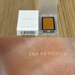 セルヴォーク♡新品♡ヴォランタリーアイズS EX03 メロウブラウン