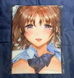 激レア とらドラ！ 逢坂大河 複製原画 ヤス直筆サイン入り - メルカリ
