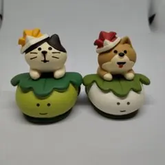 コンコンブル　節句(10)