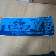 Y.S.C.C.横浜 タオルマフラー