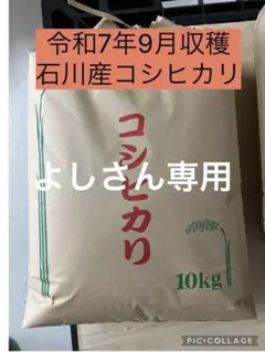 新米令和7年収穫 2025年産 農家直送三重県産コシヒカリ精米10kg10キ