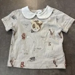 バースデイ　コトリ　動物柄 襟付き Tシャツ 80cm