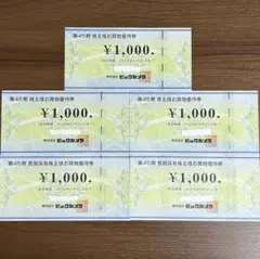 ビックカメラ 株主優待券 5000円分