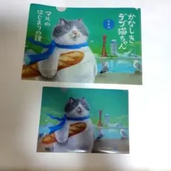 となりの猫と恋知らず クリアファイル - メルカリ