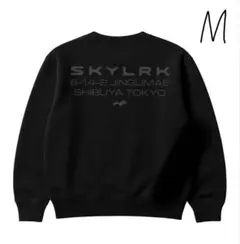 2025年最新】skylrkの人気アイテム - メルカリ