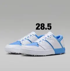 新品ナイキ ジョーダン NU レトロ 1 G 28.5㎝