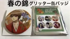 銀魂 桂小太郎 春の錦 トレーディング グリッター 缶バッジ アニメジャパン限定