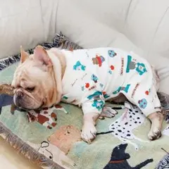 Item thumbnail for item 481d1a0e-fbf0-46ef-9ecb-a93b7cf20f08