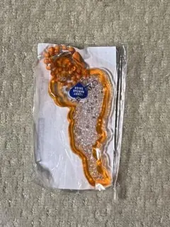 琵琶湖キーホルダー　東レ　オレンジ　③