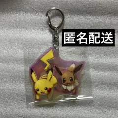 ポケパークカントー キーホルダー ピカチュウ イーブイ - メルカリ
