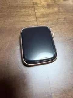 ぶた様　Apple Watch SE 44mm GPS