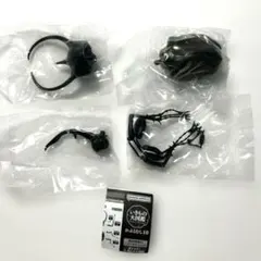 いきもの大図鑑 コーカサスオオカブト(改) かぶとむし10 【未開封】