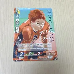 ハイキュー!!　日向翔陽バボカ