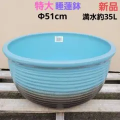 新品 特大50 陶器睡蓮鉢 メダカ鉢 難有 エメラルドグリーン 緑黒 高級