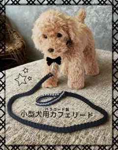 小型犬用　カフェリード