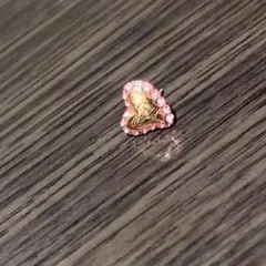 【片耳】ヴィヴィアンウエストウッド ピアス Vivienne Westwood