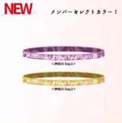 BUDDiiS JUBiiLEE シリコンバンド 神奈川 Day2