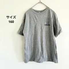 Tシャツ 半袖　ライトグレー　160サイズ プリントデザイン　シンプル