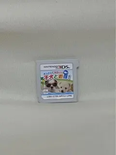 オシャレでかわいい海編 子犬と遊ぼ！