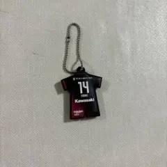 Item thumbnail for item 0ada3f3d-5d04-4de1-8039-92424097b3fd