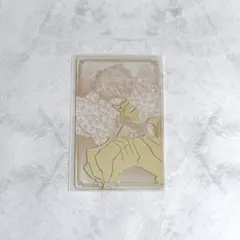 新品 鬼滅の刃 箔カードコレクション 我妻善逸