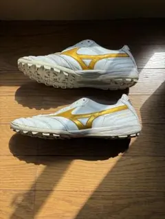 モレリア トレシュー
