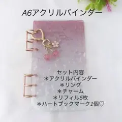 アクリルバインダー♡水流模様A6韓国バインダー貯金savingチェリーpink