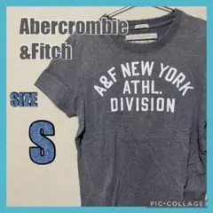 Abercrombie & Fitch Tシャツ Sサイズ グレー