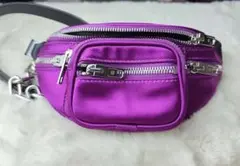 2026年最新】Alexander Wang レディース ボディバッグ・ウエストポーチ