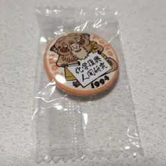 新品未使用 ジブリがいっぱい缶バッジ