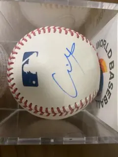 大谷翔平 2014年 サインボール 直筆サイン ファイターズ非売品ボール