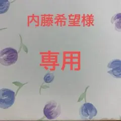 内藤希望様　専用ページ　アンパンマン ブロックラボ