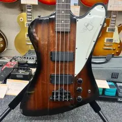 エピフォン サンダーバード ベース ミラーピックガード スルーネック