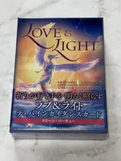 新品未開封　絶版ラブ&ライトディバインガイダンスカード　希少 2025年最新】ディバインガイダンスの人気アイテム - メルカリ