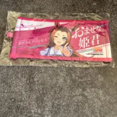 カワカミプリンセス