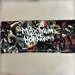 2025年最新】マキシマムザホルモンタオルの人気アイテム - メルカリ