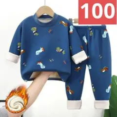 【冬物セール】キッズ冬恐竜パジャマC上下セット(100サイズ）こどもパジャマ