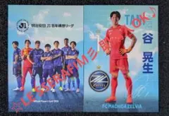 Item thumbnail for item 19a5d2e8-0f54-4aad-ba60-7ad162d3ac5f