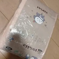 Item thumbnail for item f0d592b4-2c9c-4cd3-be3b-6f0f99622274